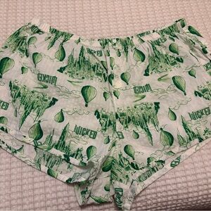 NWT Aerie x Wicked Boxers